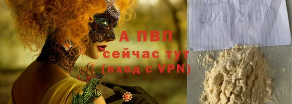 молекула духа Козловка