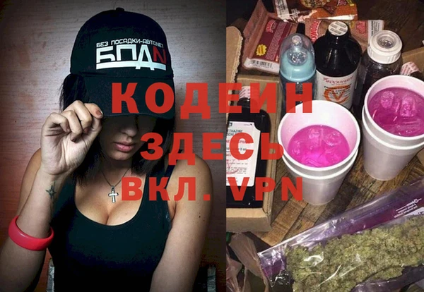 индика Кодинск