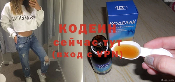 молекула духа Козловка