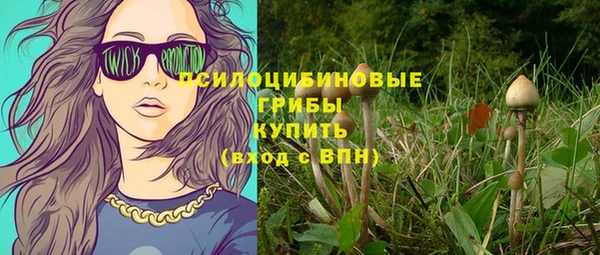 индика Кодинск