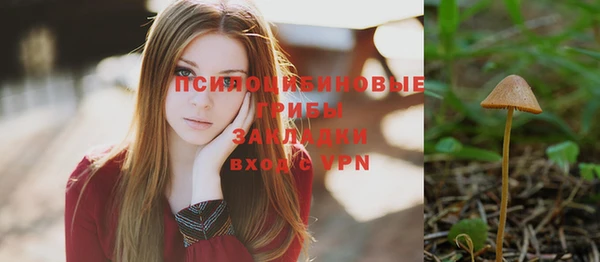 МДПВ Козельск
