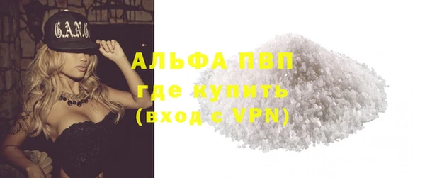молекула духа Козловка