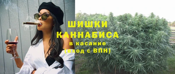 индика Кодинск