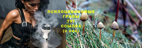МДПВ Козельск