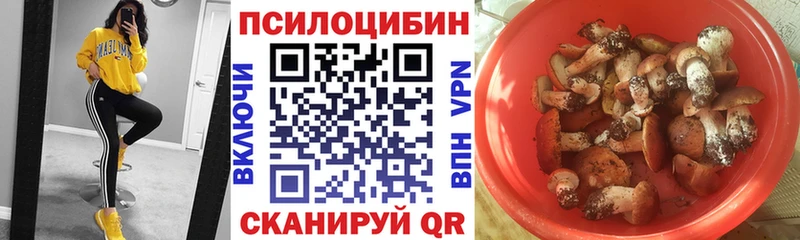 Галлюциногенные грибы Psilocybine cubensis  Купить  Трёхгорный 